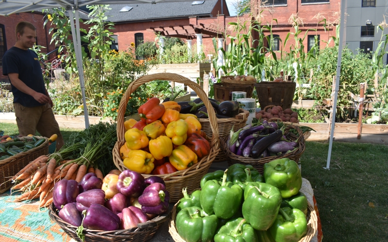 Billings Forge Community Garden