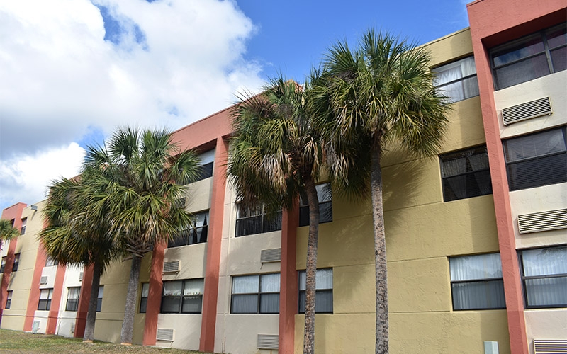 Cutler Meadows Glen Apartments exterior with palm trees