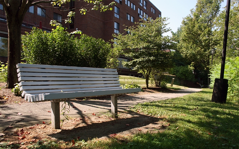 Cocheco Park bench and grounds