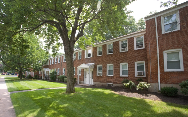Bay Meadow Apartments exterior with tree