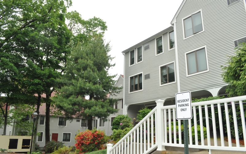 Machado House exterior and trees