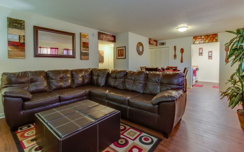 Middletowne Apartments unit living room