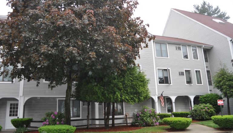 Machado House trees