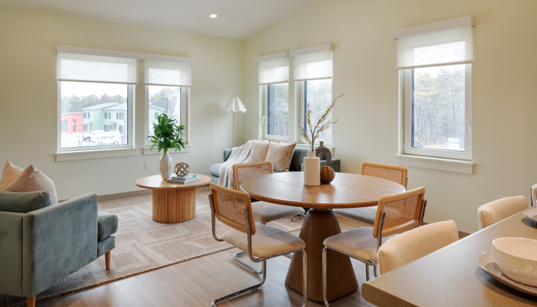 Kitchen and Livingroom