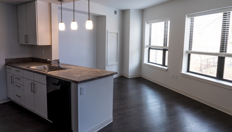 Flat 9 kitchen/livingroom