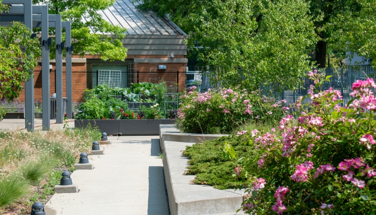 Garden scene