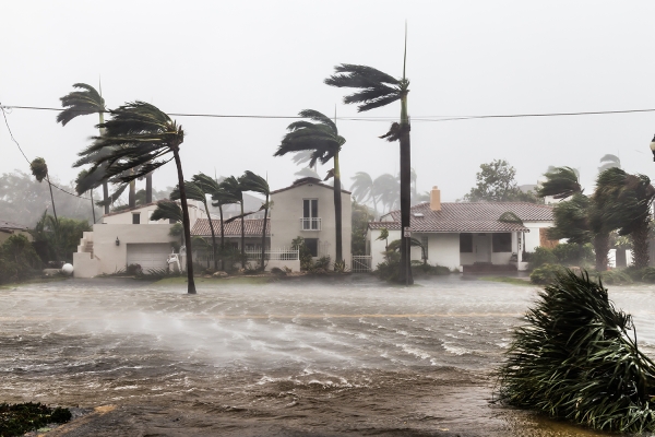 Hurricane damage