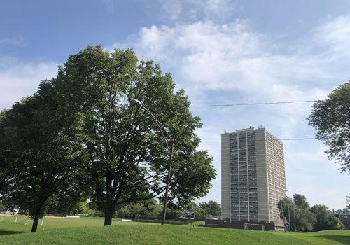 Island Terrace Apartments